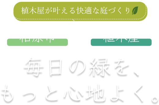 樹木と向き合う真摯な施工姿勢