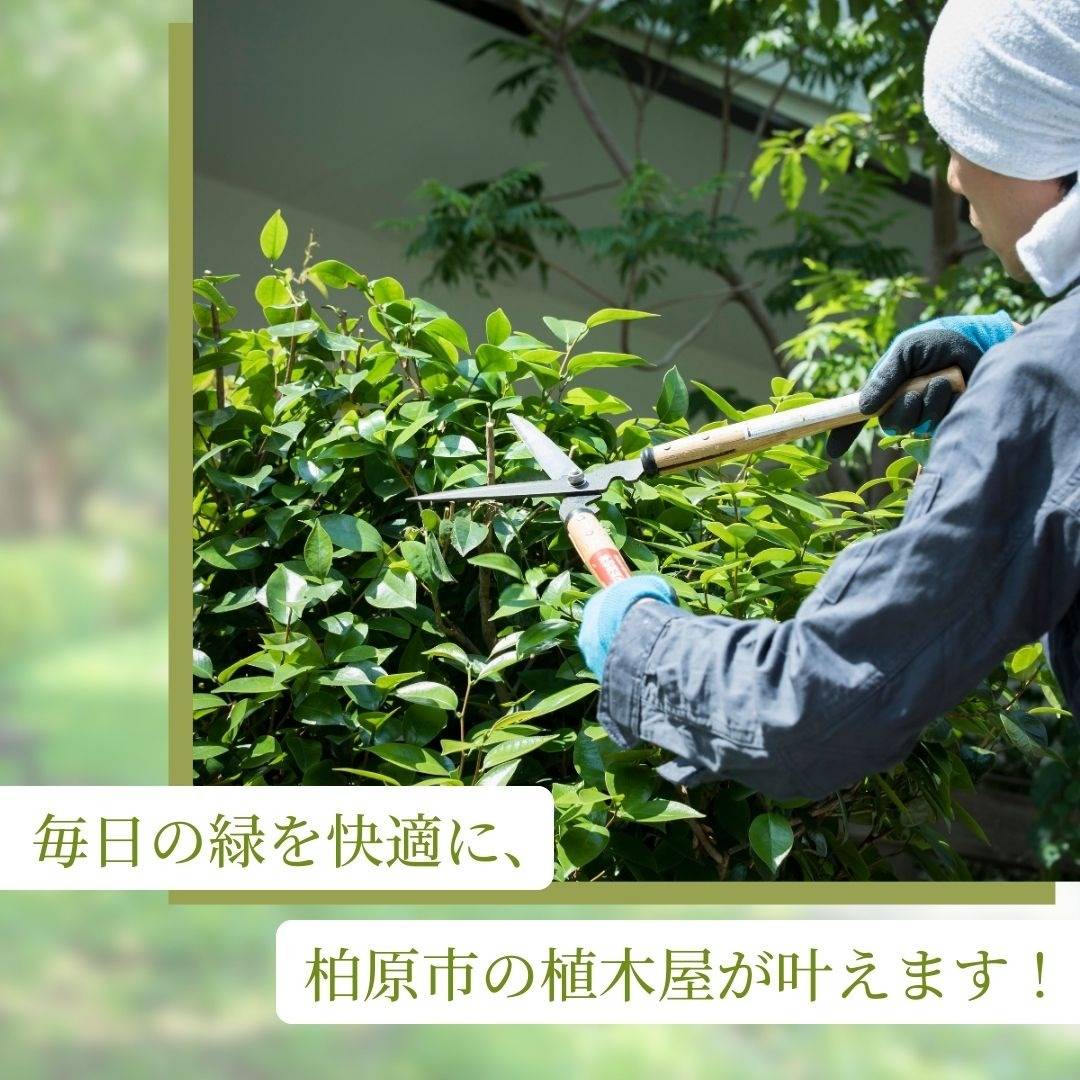 popup_banner