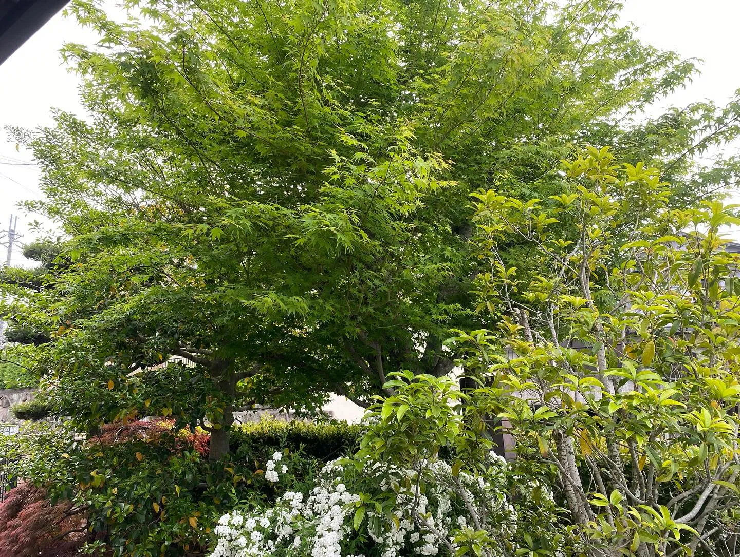 先日のご新規宅様です😊