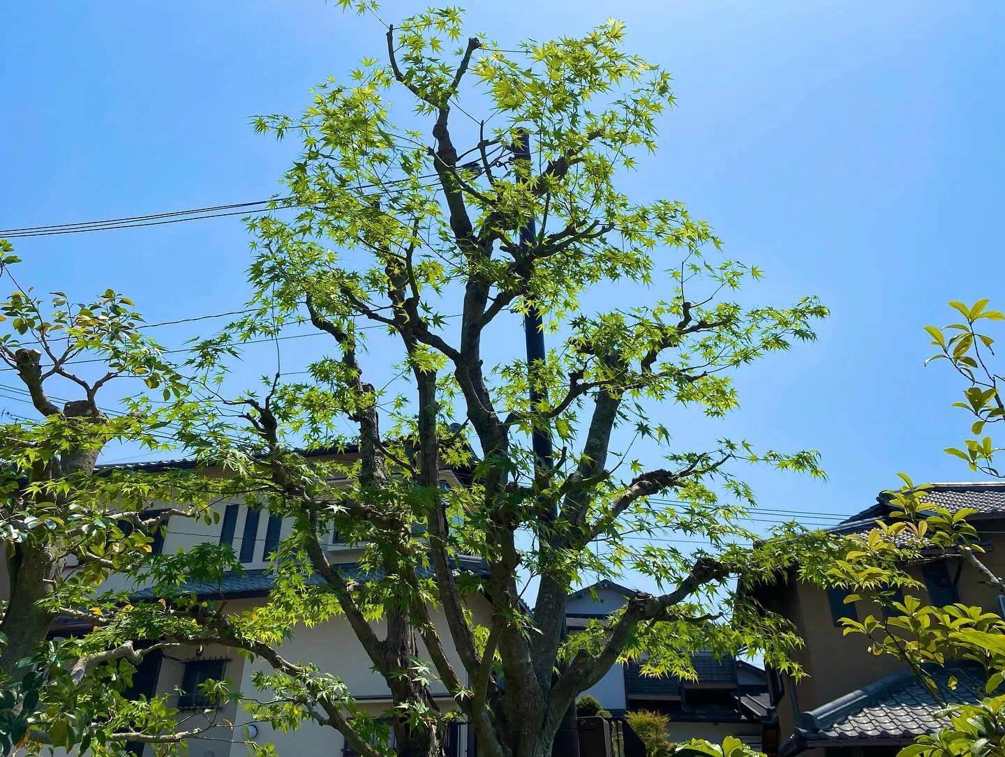 先日のご新規宅様です😊