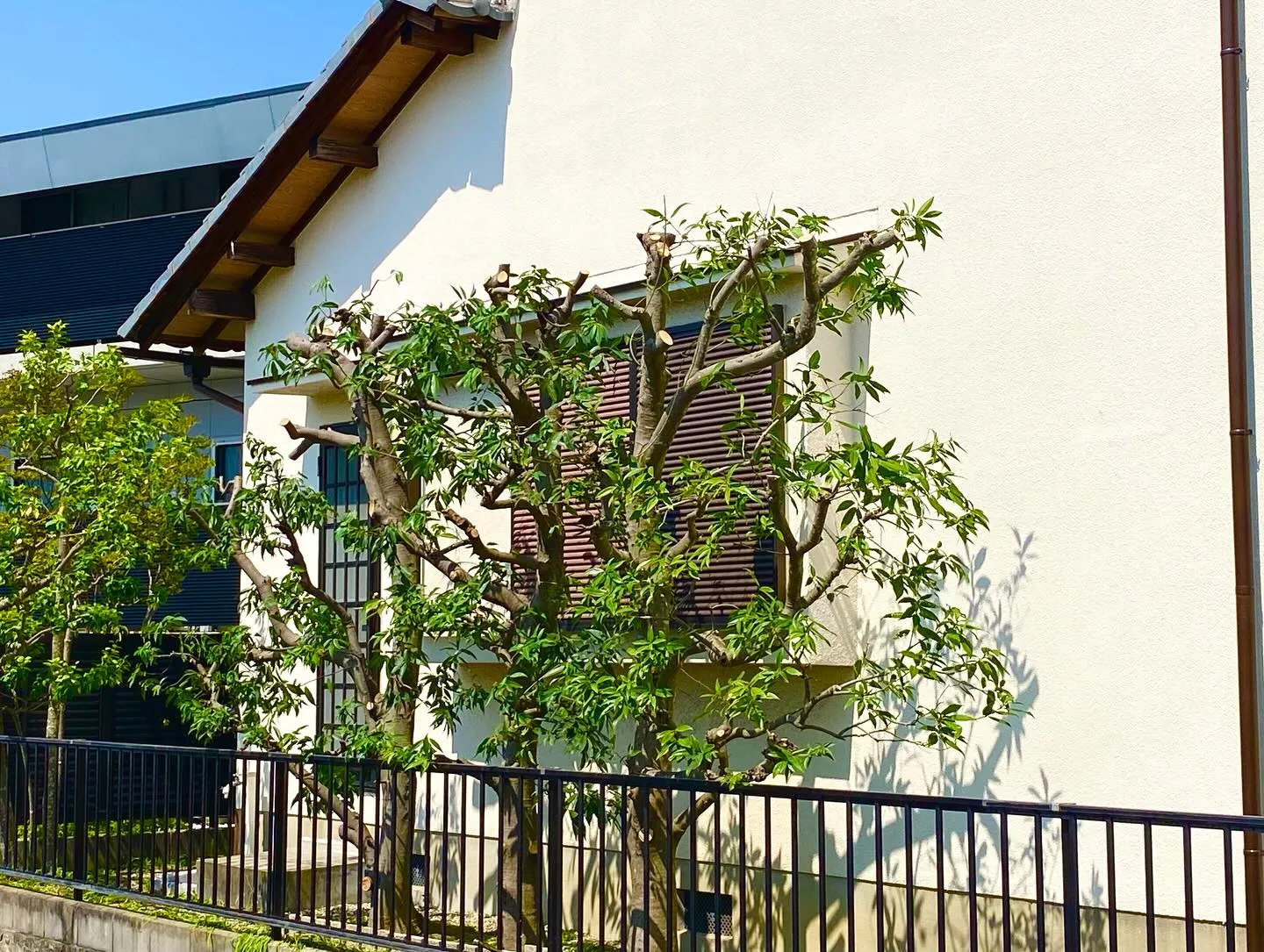 先日のご新規宅様です😊