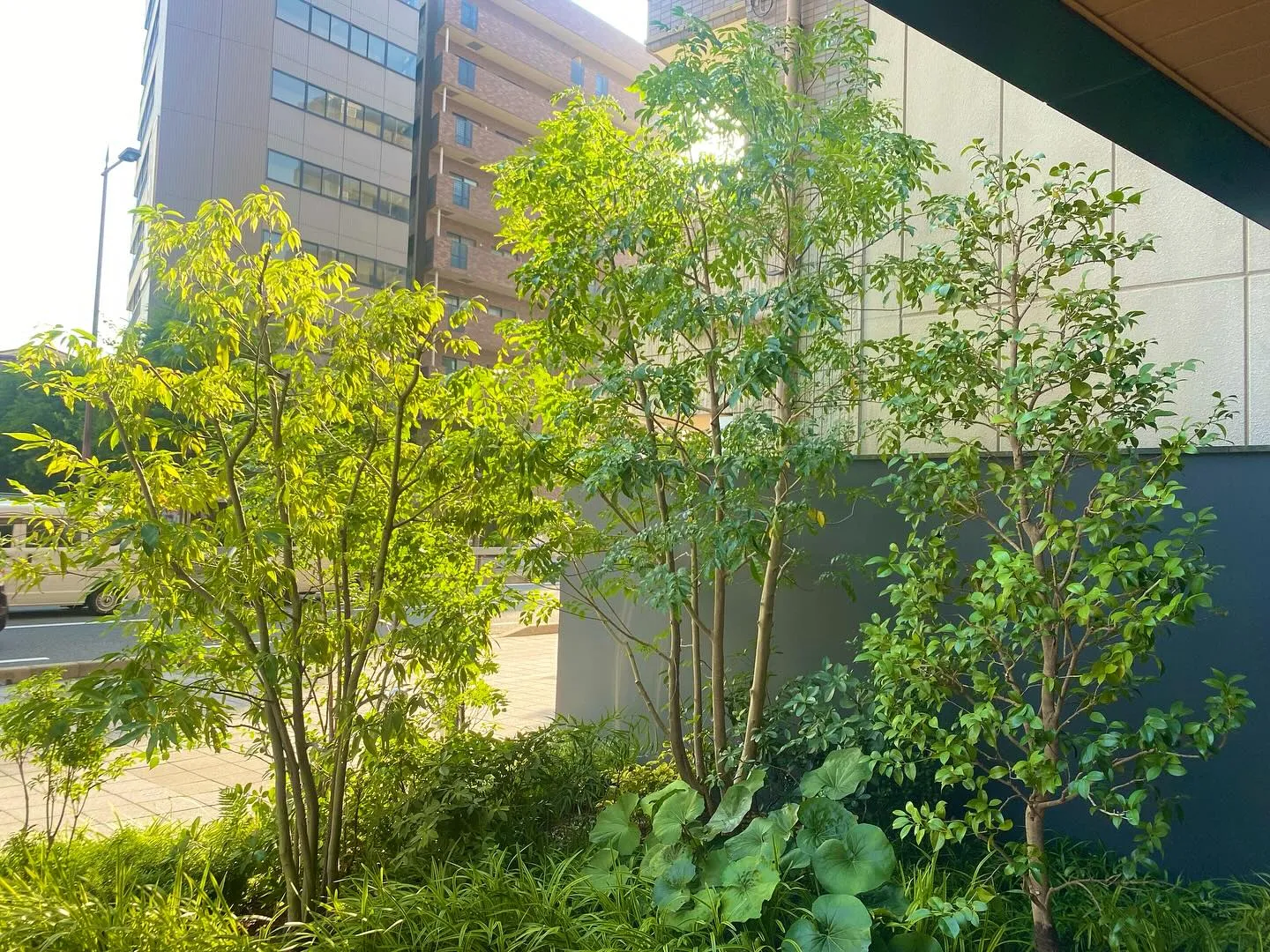 先日の新規マンション管理の一部です☺️
