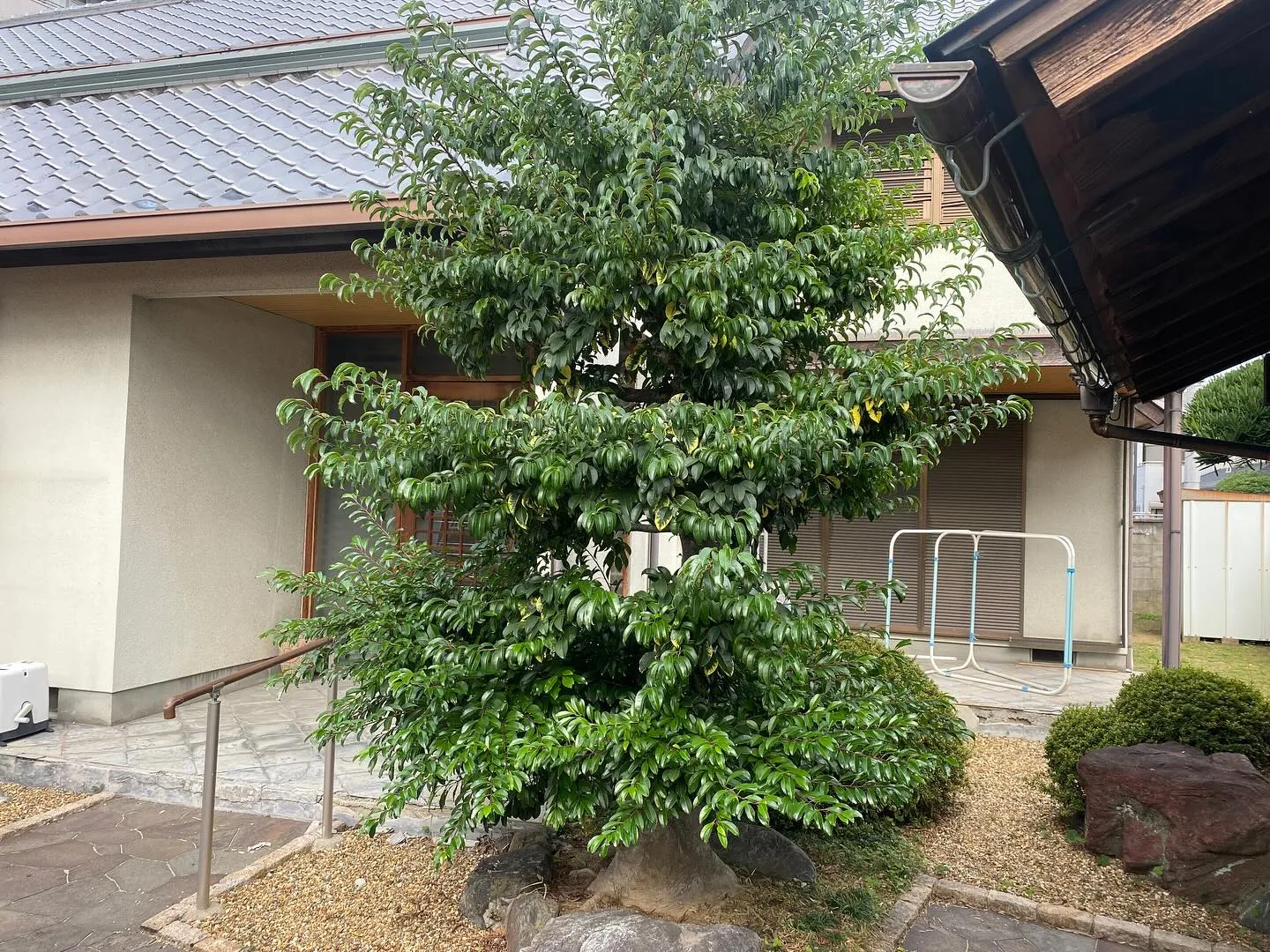 先日ホームページを見てご依頼していただいたご新規様の一部です...