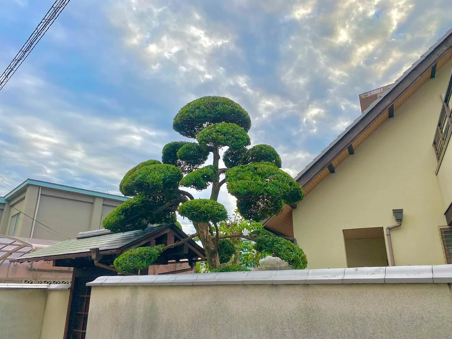 先日ホームページを見てご依頼していただいたご新規様の一部です...