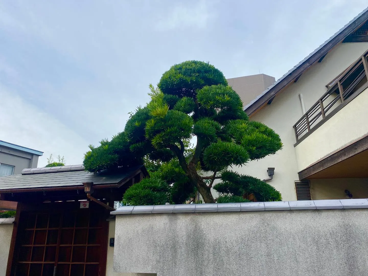 先日ホームページを見てご依頼していただいたご新規様の一部です...