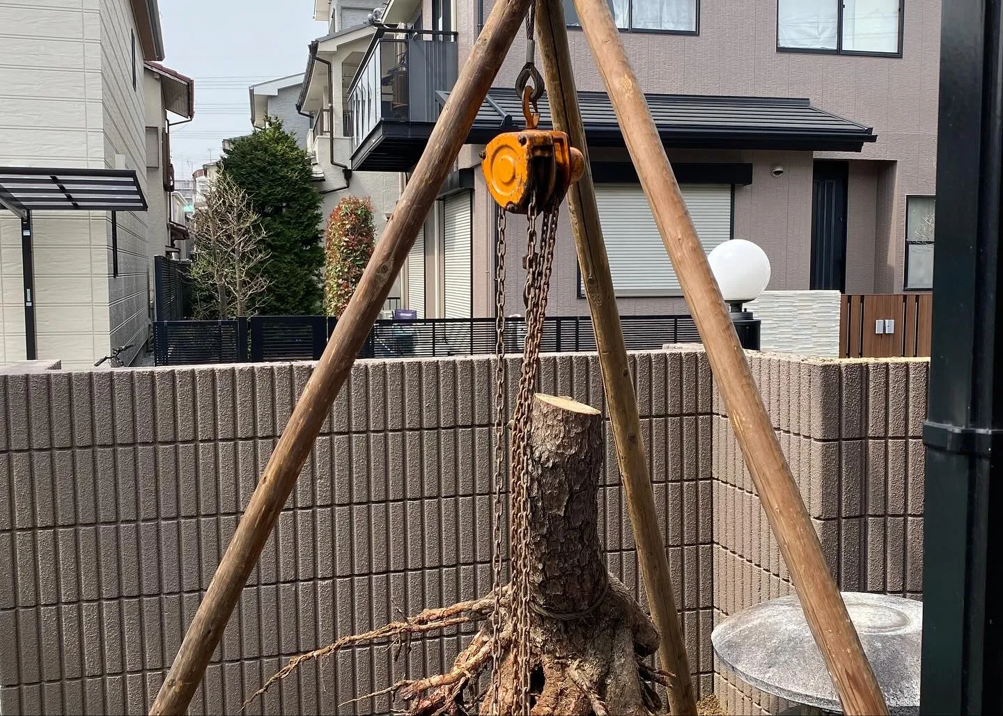 昨日は枯れたマツの植え替えを4月にさせていただいたお宅の初年...