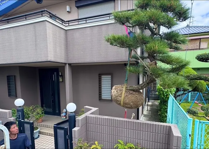 昨日は枯れたマツの植え替えを4月にさせていただいたお宅の初年...