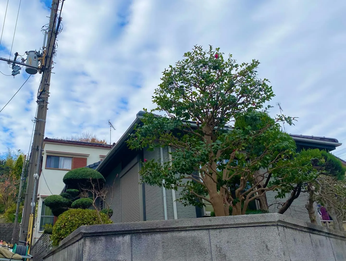 ホームページからご依頼いただきましたご新規宅様です🌿