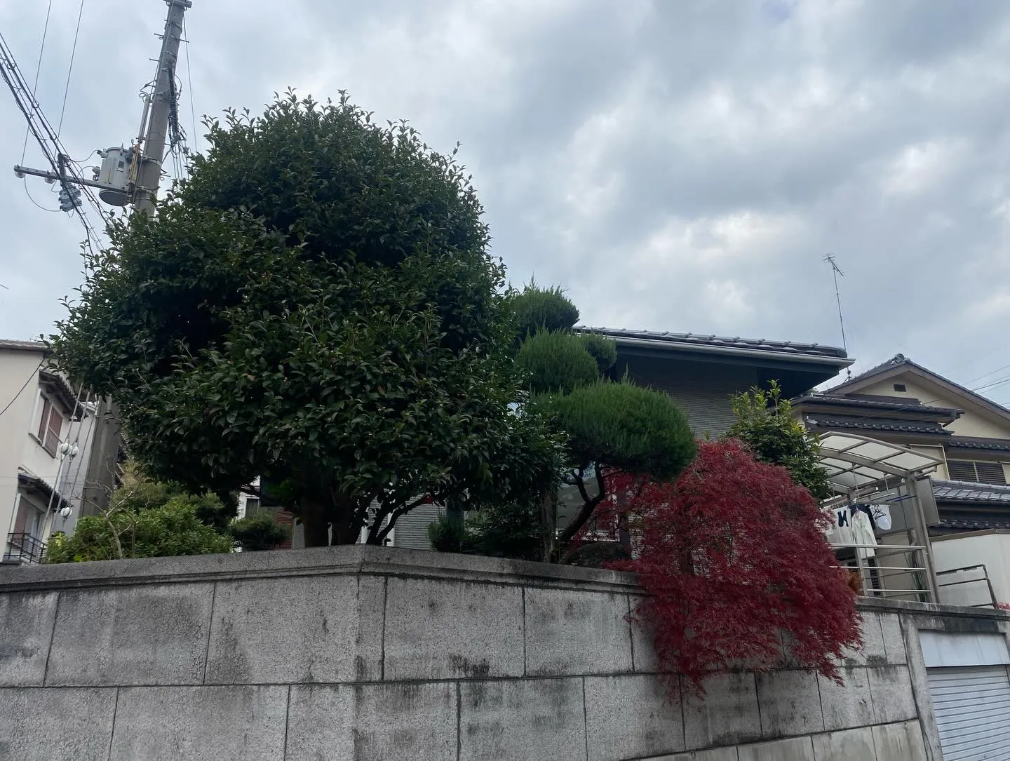 ホームページからご依頼いただきましたご新規宅様です🌿