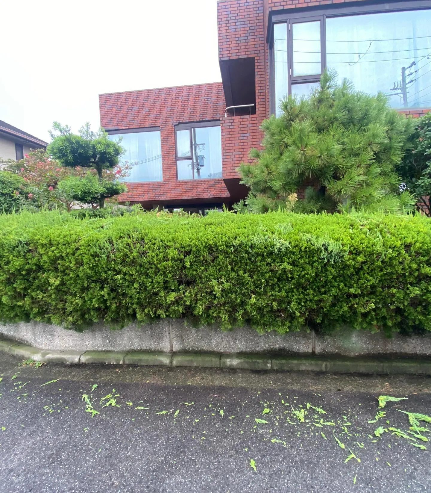 今年もあと2時間ですねー😲