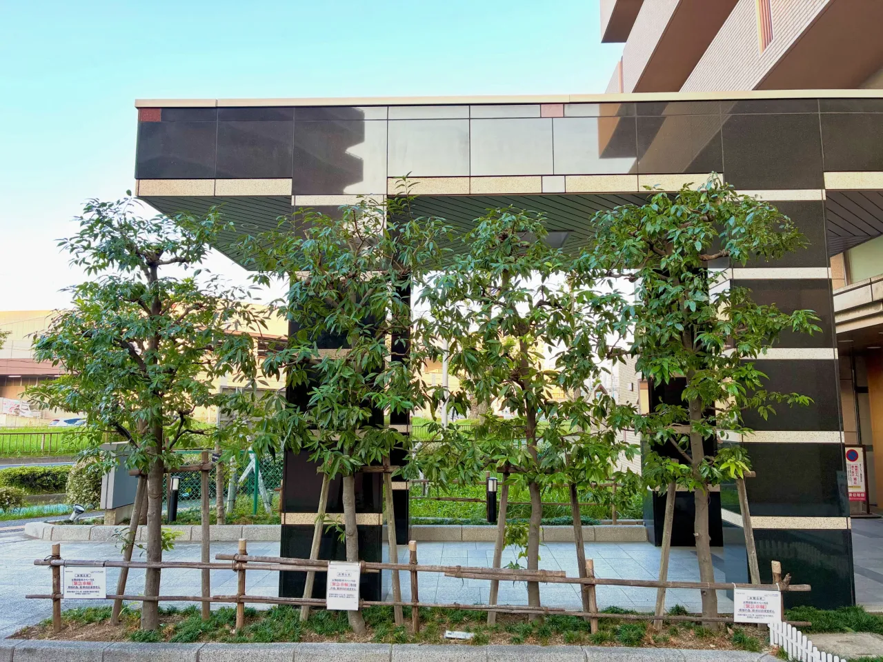 最近はマンションの年間管理を回らせてもらってます✂️🌳