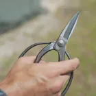 アクセス