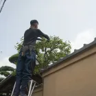 剪定